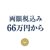 両眼税込み66万円から